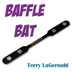 Baffle Bat by Terry LaGerould