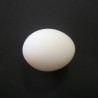 Plastic Egg