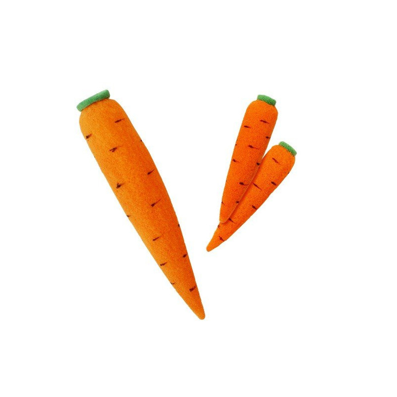 Multiplying Carrots - Sponge