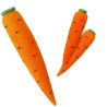 Multiplying Carrots - Sponge