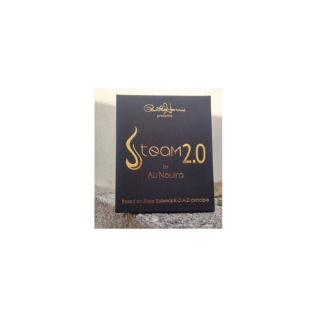 Steam 2.0 by Ali Nouira