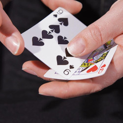 Wild Cards