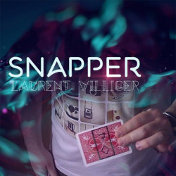 Snapper by Laurent Villiger