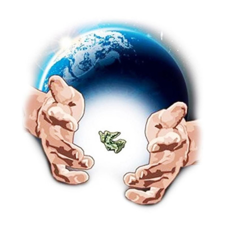 Infinity V2 (Filo elastico invisibile 61mt)